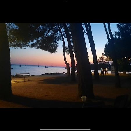Apartman Sija Novigrad Novigrad  Luaran gambar